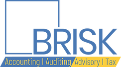 Brisk Accounting and Auditing | Auditor's in Dubai