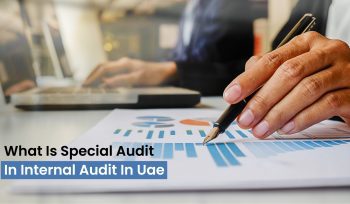 What is special audit in internal audit in UAE